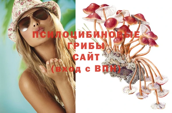 кокаин премиум Гусев