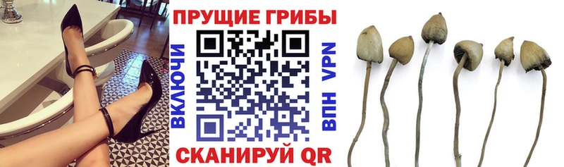 Галлюциногенные грибы мухоморы  KRAKEN рабочий сайт  Терек 